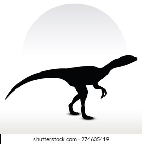 Vector Image - dinosaurs dilophosaurus isolated on white background
