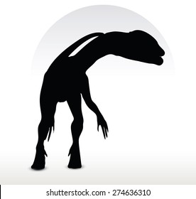 Vector Image - dinosaurs dilophosaurus isolated on white background