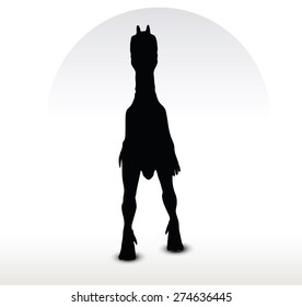 Vector Image - dinosaurs dilophosaurus isolated on white background
