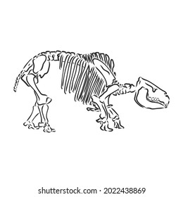 Vector Image - dinosaurs skeleton isolated on white background dinosaur skeleton vector sketch