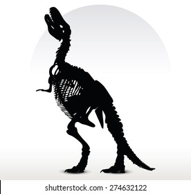 Vector Image - dinosaurs trex skeleton isolated on white background
