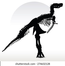 Vector Image - dinosaurs trex skeleton isolated on white background
