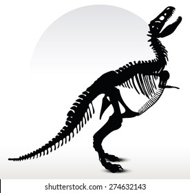 Vector Image - dinosaurs trex skeleton isolated on white background
