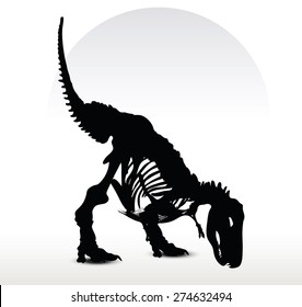 Vector Image - dinosaurs trex skeleton isolated on white background
