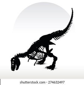 Vector Image - dinosaurs trex skeleton isolated on white background
