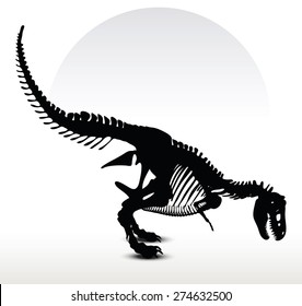 Vector Image - dinosaurs t-rex skeleton isolated on white background
