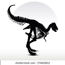 Vector Image - dinosaurs trex skeleton isolated on white background
