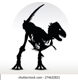 Vector Image - dinosaurs trex skeleton isolated on white background
