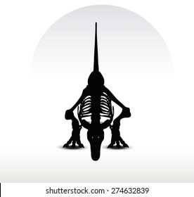 Vector Image - dinosaurs trex skeleton isolated on white background
