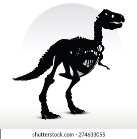 Vector Image - dinosaurs trex skeleton isolated on white background
