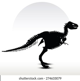 Vector Image - dinosaurs trex skeleton isolated on white background
