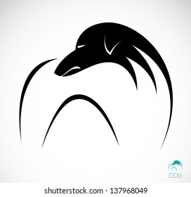 Vector image of an dog (azawakh) on white background