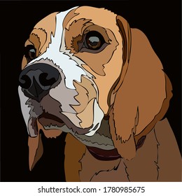vector image of a dog beagle breed kind smart loyal eyes long ears