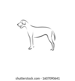 Vector image of an Dog black and white. design style. animal. art. symbol. logo. Illustrator. on white background. Mammals