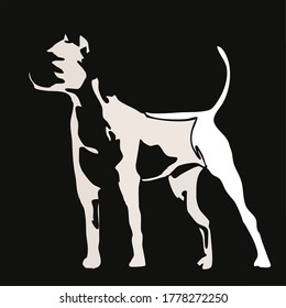 vector image of dog breed American Staffordshire Terer black and white image