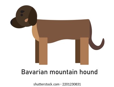 Vector image of a dog breed Bavarian mountain hound