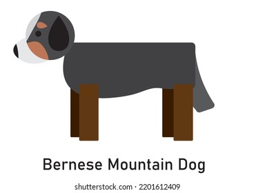 Vector image of a dog breed Bernese Mountain Dog