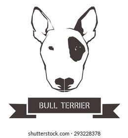Vector image of an dog (bull terrier) on white background