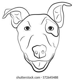 Vector image of an dog bull-terrier on white background, Vector dog bullterrier head for your design