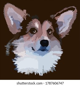 Vector image of a dog corgi welsh pembroke breed with big kind loyal cute eyes white-black-beige color
