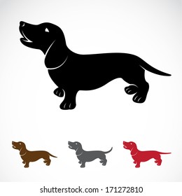 Vector image of an dog (Dachshund) on a white background