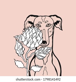 Imagen vectorial de un perro con una flor. Dibujo único a mano. Protea real y mascota de fondo suave.