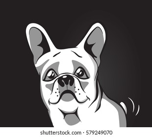 Vector image of an dog, French bulldog logo, Boston Terrier emblem, Good Pet