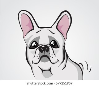 Vector image of an dog, French bulldog logo, Boston Terrier emblem, Good Pet