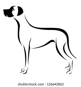 Vector image of an dog (great dane) on white background