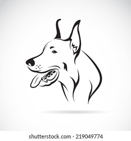 Vector image of an dog (Great Dane) on white background