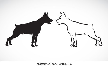 Vector image of an dog (Great Dane) on white background