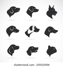 Vector image of an dog head on white background,  Vector dog head for your design.