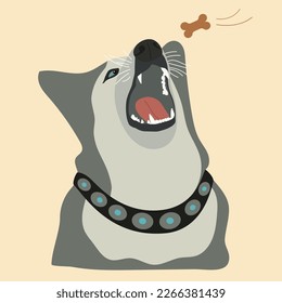 Vector image of a dog of the Husky breed, a Malamute in a beautiful collar with an open mouth grabbing a tasty treat.