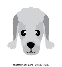 vector image. dog icon on white background