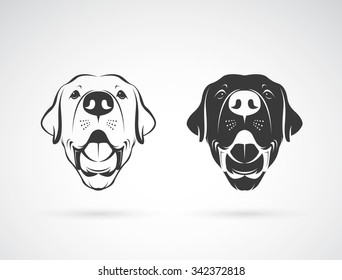 Vector image of an dog labrador head on white background, Animals