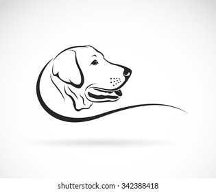 Vector image of an dog labrador head on white background