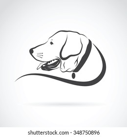 Vector image of an dog labrador head on white background, Animals 