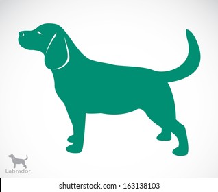 Vector image of a dog Labrador on white background