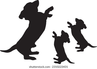 Imagen vectorial de un labrador de perro sobre fondo blanco
