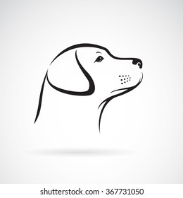 Vector image of an dog labrador on white background