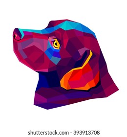 Vector image of an dog labrador on white background