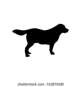 Vector image of a dog labrador on white background