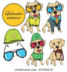 Vector image of the dog Labrador retriever in clothing