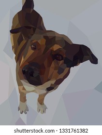 Vector image of a dog in low poly style. Adult dog looks upwards.
