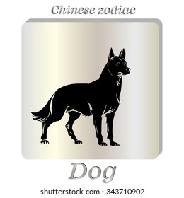 Vector image of an dog  on pearl background