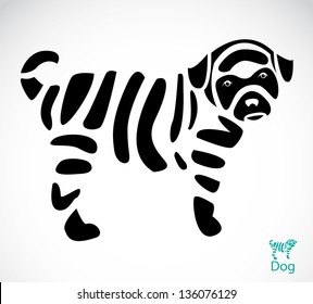 Vector image of an dog on white background