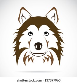  Vector image of an dog on white background