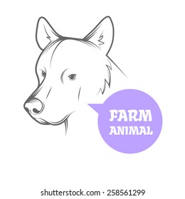Vector image of an dog on white background