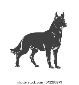 Vector image of an dog  on white background