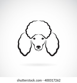 Vector image of an dog poodle face on a white background